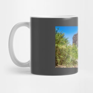 Santa Elena Canyon Mug